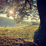 Zum Rayers Cafe-restaurant & Boutique-hotel Hotel Vogtsburg