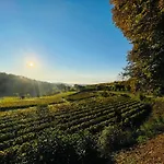Zum Rayers Cafe-restaurant & Boutique-hotel