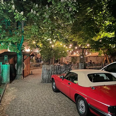 Zum Rayers Cafe-restaurant & Boutique-hotel מלון