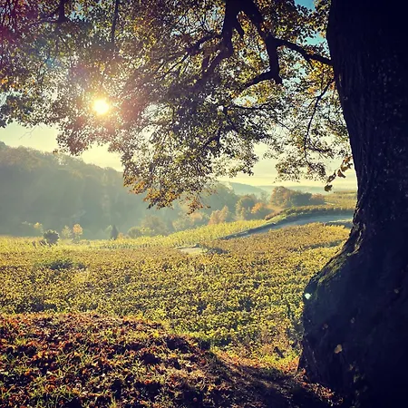 Zum Rayers Cafe-restaurant & Boutique-hotel מלון ווגטסבורג