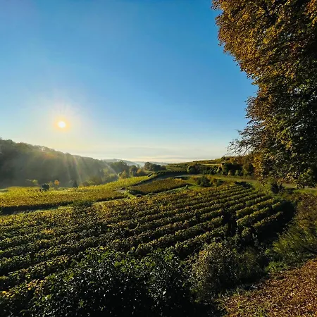 Zum Rayers Cafe-restaurant & Boutique-hotel